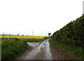 TM4196 : Green Lane, Pockthorpe by Geographer