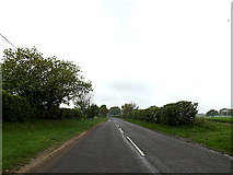 TM4196 : Thurlton Road, Pockthorpe by Geographer