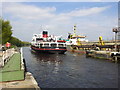 Snowdrop at Irlam Locks