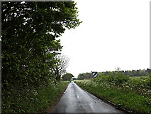 TM4394 : Post Office Road, Toft Monks by Geographer