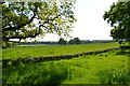 Lush countryside near Woodchurch