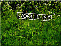 TM4394 : Wood Lane sign by Geographer