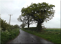 TM4394 : Wood Lane, Waterheath by Geographer