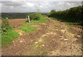 ST2040 : Field access track, Pinnacle Hill by Derek Harper