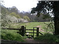 On the route between White Hawridge Bottom and Cholesbury