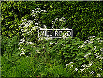 TM4693 : Mill Road sign by Geographer