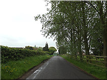 TM4693 : Dun Cow Road, Aldeby by Geographer