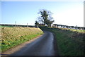 TF9439 : Lane to Warham by N Chadwick