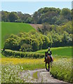 SU6484 : Morning ride in the springtime on Garsons Hill, Ipsden, Oxfordshire by Edmund Shaw