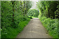 Path in Toton Fields