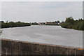 SE8100 : River Trent towards Owston Ferry by J.Hannan-Briggs