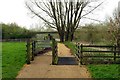 Gate and cattle grid on the path