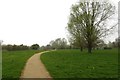 Path in Ouzel Valley Park