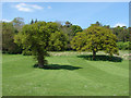 Oaks, Mount Browne