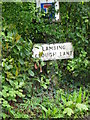 Lambing Clough Lane Hurst Green Village