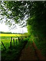 Bridleway from Weston Common between field and woodland