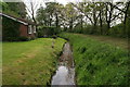 Nettleton Beck in Moortown