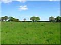 TQ2517 : Barn Field by Simon Carey