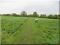 Footpath across Orchard Field