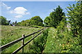 Footpath on the edge of Littleworth