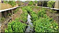 Haydon Wick Brook, Swindon (4)