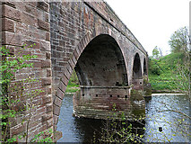 NT5135 : Redbridge Viaduct by Oliver Dixon