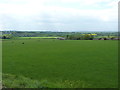 Pasture above Saredon Hill Farm