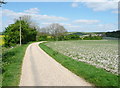 The Chiltern Way on the driveway to Pegson Common Farm