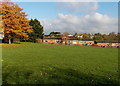 Bungalows and autumn colours, Matson, Gloucester