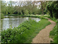 River Wey tow path