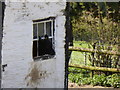 Scene at Bron-y-geifr farm from Glyndwr