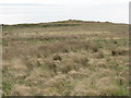 NR5875 : Rough wet moorland at Achamore by M J Richardson