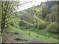 Valley bottom, below Halse Wood