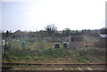 Allotments in Redhill