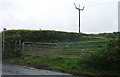 Footpath off Burford Lane