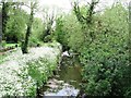 Cripsey Brook upstream of Ongar Bridge