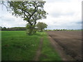 Bridleway to Everingham Common