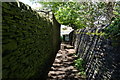 Path leading to Fartown, Pudsey