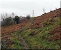 Hillside track, Perthcelyn