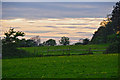 Malvern Hills District : Grassy Field