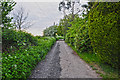 Malvern Hills District : Country Lane