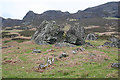 NM4584 : Fallen Rocks at Grulin Uachdrach by Anne Burgess