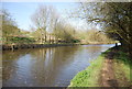 Canal and towpath