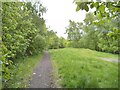 Railway Path Scene