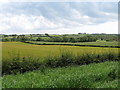 View across farmland towards the Blackstaff Valley