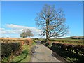 A country road in Balloch