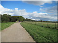 Farm  road  from  Handale