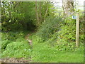 Public footpath towards Heligan Barton