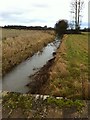 River Wissey looking upstream at Lower Road