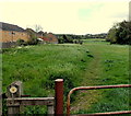 Track towards Nedern Brook, Caldicot